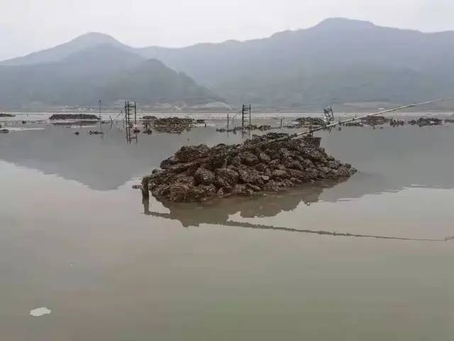 三门湾滩涂