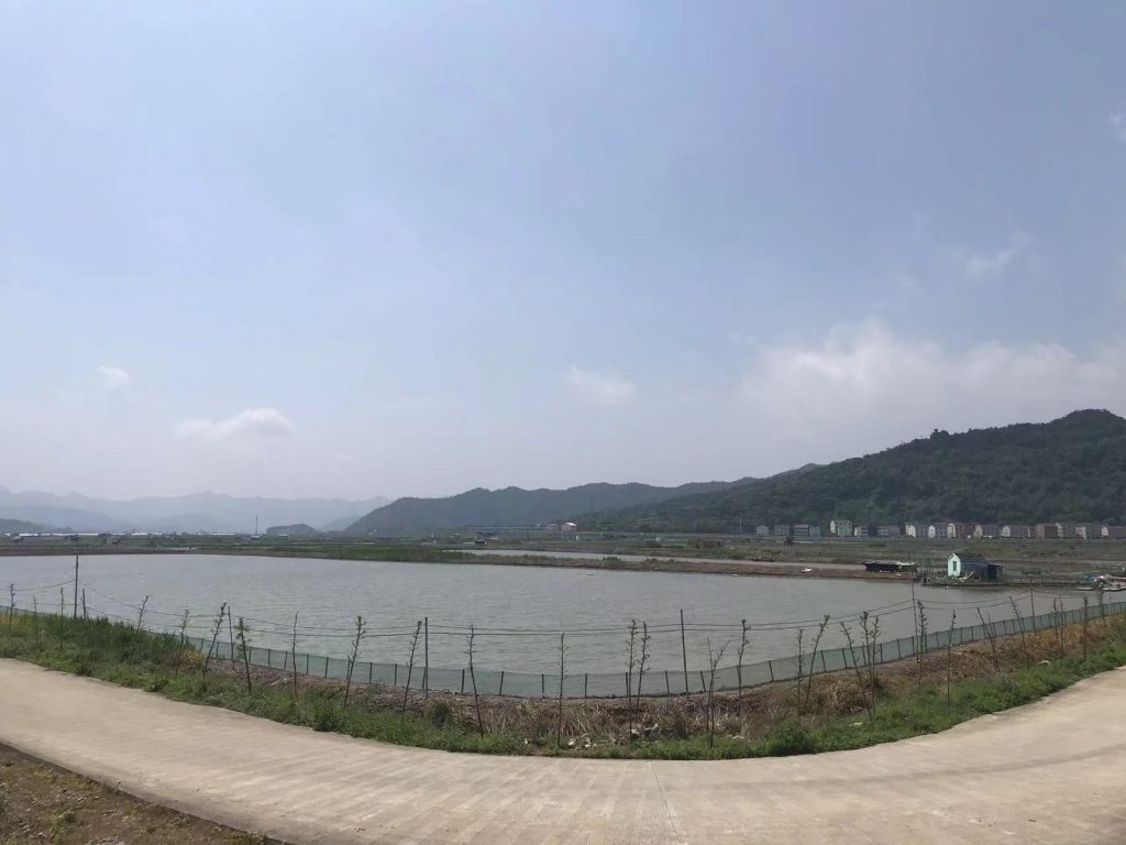 三门青蟹养殖基地