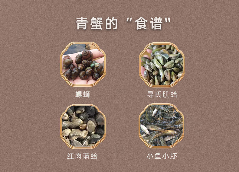 三门青蟹食谱